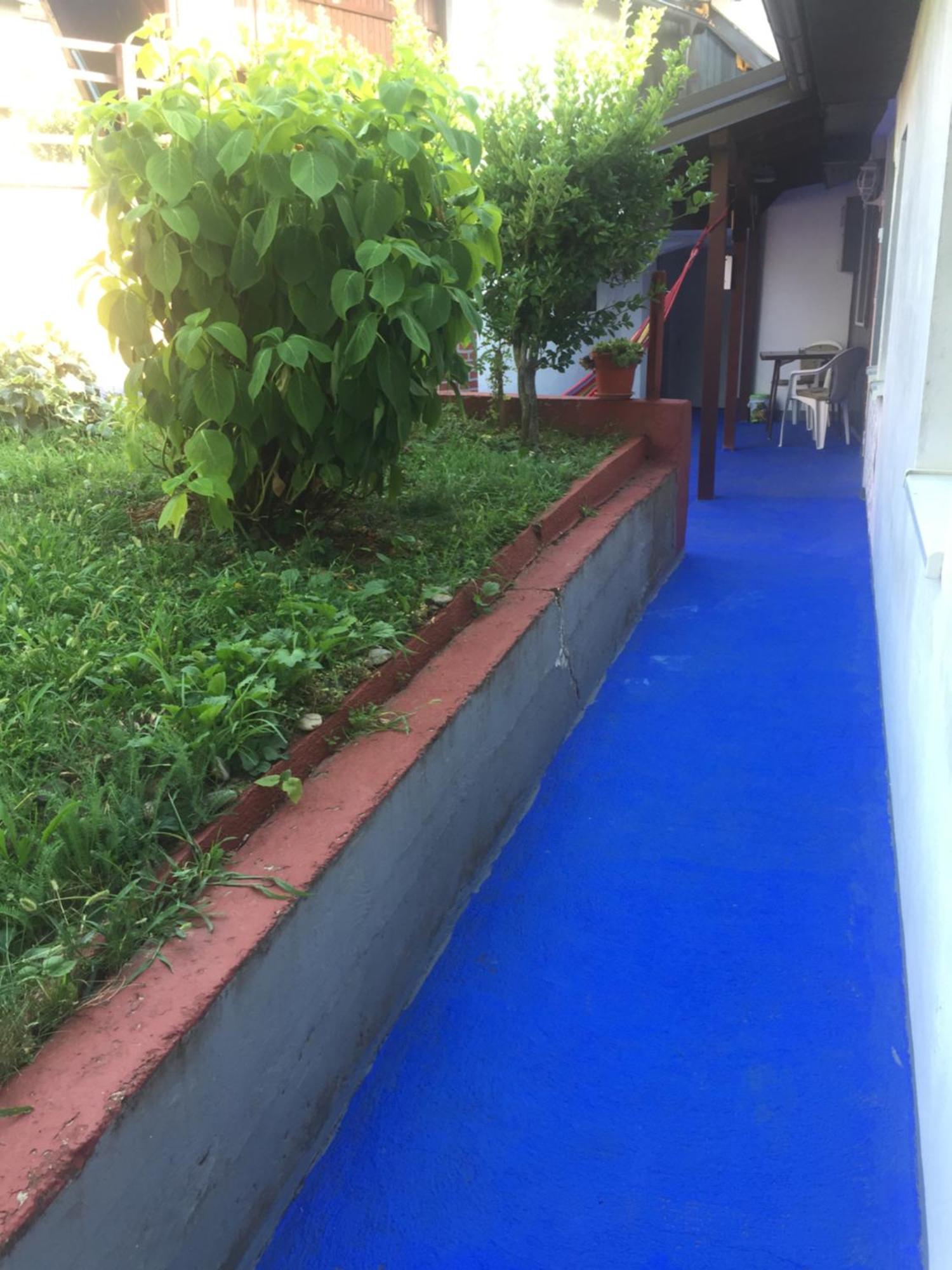 Dolores Tesanj Ngoại thất bức ảnh